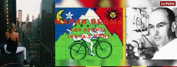 метадон Алексин